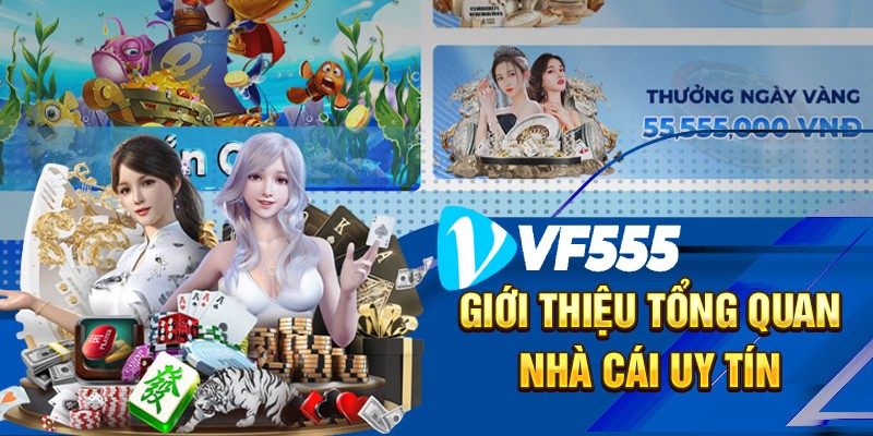 Điều khoản sử dụng nhà cái 